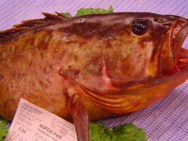 anfos-mallorqui-mero - Pescados Carmen – Pescado Fresco y Marisco - Palma de Mallorca