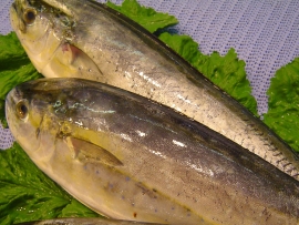 llampuga - Pescados Carmen – Pescado Fresco y Marisco - Palma de Mallorca