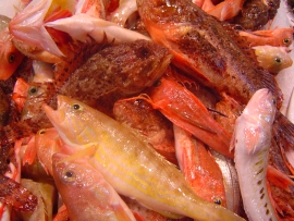 morralla-morralli-pescado-de-sopa-peix-roquer - Pescados Carmen – Pescado Fresco y Marisco - Palma de Mallorca