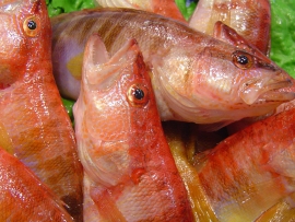 vaques - Pescados Carmen – Pescado Fresco y Marisco - Palma de Mallorca