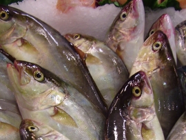 verderolserviola - Pescados Carmen – Pescado Fresco y Marisco - Palma de Mallorca