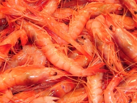 gambas-roja-mediterraneo - Pescados Carmen – Pescado Fresco y Marisco - Palma de Mallorca